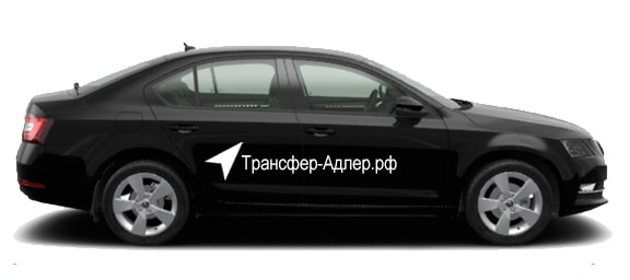 Шкода Октавия в аэропорту Сочи